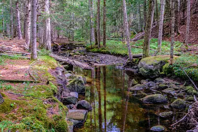 507 Norway Road, Harrison, ME 04040 - Photo 67