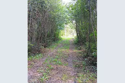 590 Mohawk Road, Lincoln, ME 04457 - Photo 7