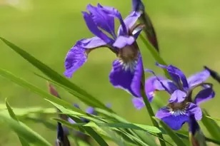 428 Bean Rd, Mount Vernon, ME 04352 - Photo 57