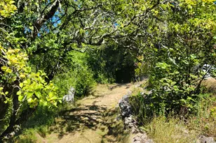 38 Bay Rd, Jonesboro, ME 04648 - Photo 31