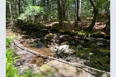 519 Norway Road, Harrison, ME 04040 - Photo 59