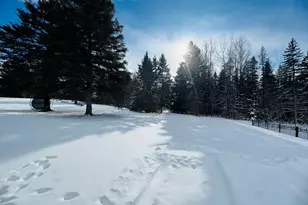 49 Spruce Ridge Rd, Caribou, ME 04736 - Photo 5