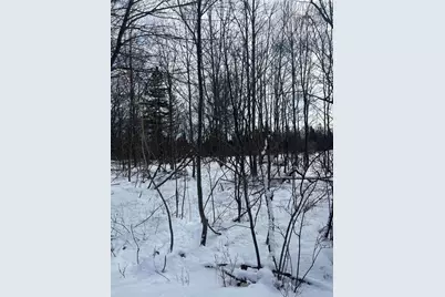 272 Looks Point Road, Jonesboro, ME 04648 - Photo 11