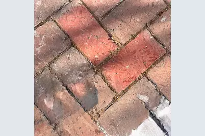 115 Essex Street, Bangor, ME 04401 - Photo 9