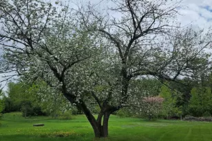 1696 Federal Rd, Livermore, ME 04253 - Photo 53