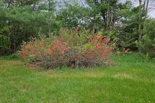 1696 Federal Rd, Livermore, ME 04253 - Photo 59