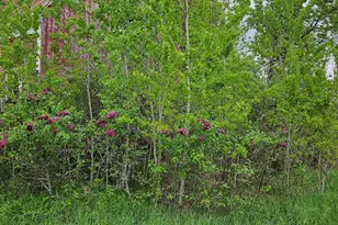 1696 Federal Rd, Livermore, ME 04253 - Photo 51