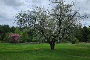 1696 Federal Rd, Livermore, ME 04253 - Photo 49