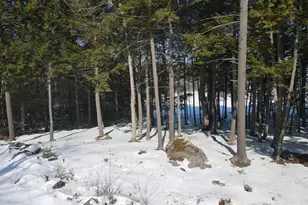 8 20 24 & 46 Martins Ln, Glenburn, ME 04401 - Photo 89