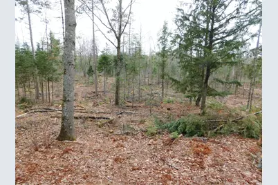 Lot # 4 Spring Bridge Road, Greenbush, ME 04418 - Photo 1