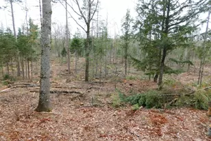 Lot # 4 Spring Bridge Rd, Greenbush, ME 04418 - Photo 1
