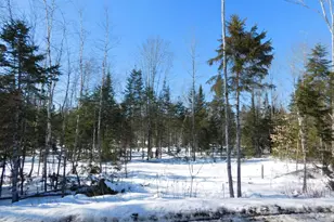 Lot # 3 Spring Bridge Rd, Greenbush, ME 04418 - Photo 1