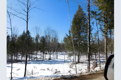 Lot # 2 Spring Bridge Road, Greenbush, ME 04418 - Photo 3