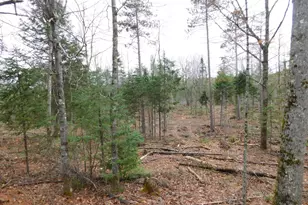Lot # 2 Spring Bridge Rd, Greenbush, ME 04418 - Photo 1