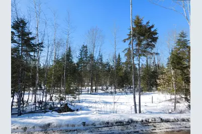 Lot # 1 Spring Bridge Road, Greenbush, ME 04418 - Photo 1