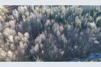 M5 L46D Black Bear Avenue, Frenchville, ME 04745 - Photo 9