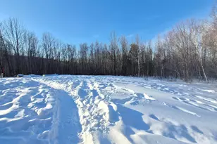 39 Davis Rd, Jay, ME 04239 - Photo 39