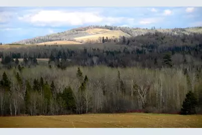 558 Center Limestone Road, Fort Fairfield, ME 04742 - Photo 3