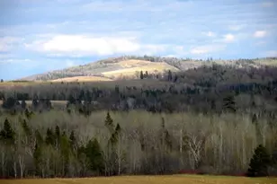 558 Center Limestone Rd, Fort Fairfield, ME 04742 - Photo 3