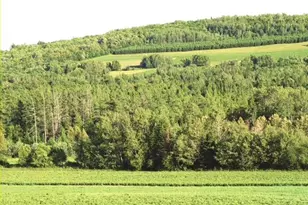 558 Center Limestone Rd, Fort Fairfield, ME 04742 - Photo 47