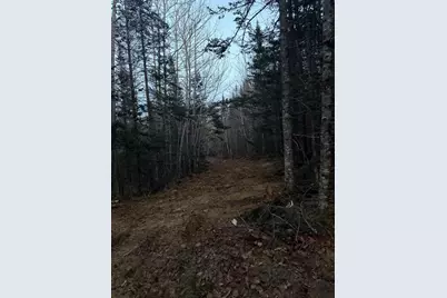 Lot 7Bh Steam Mill Road, Robbinston, ME 04671 - Photo 7