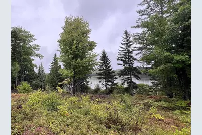 Lot 7Bh Steam Mill Road, Robbinston, ME 04671 - Photo 3