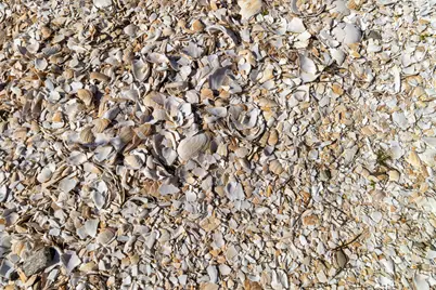 33 Barney Cove Road, Beals, ME 04611 - Photo 37