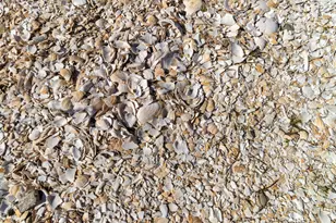 33 Barney Cove Rd, Beals, ME 04611 - Photo 37