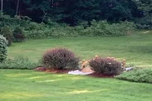 74 Town Farm Rd, Hampden, ME 04444 - Photo 55