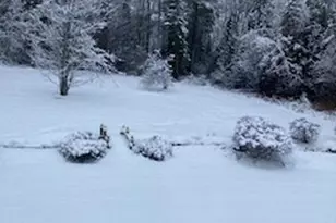 74 Town Farm Rd, Hampden, ME 04444 - Photo 45