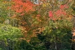 74 Town Farm Rd, Hampden, ME 04444 - Photo 41