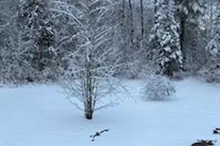 74 Town Farm Rd, Hampden, ME 04444 - Photo 57