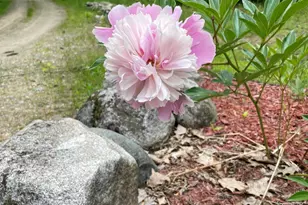 776 Cape Rd, Hollis, ME 04042 - Photo 35