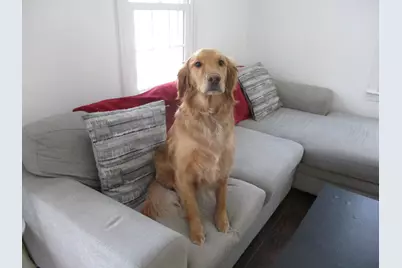 776 Cape Road, Hollis, ME 04042 - Photo 31