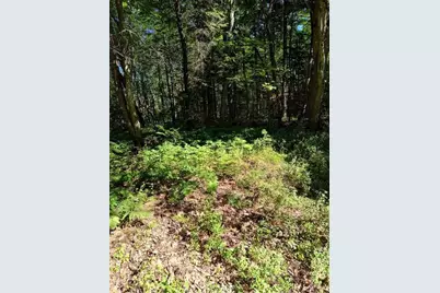 M2 L18 Long Falls Dam Road N #N/A, Limington, ME 04961 - Photo 11