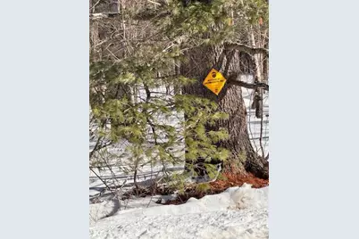 M2 L18 Long Falls Dam Road N #N/A, Limington, ME 04961 - Photo 15