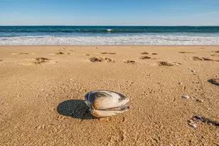 7 Bay Ave, Old Orchard Beach, ME 04064 - Photo 25