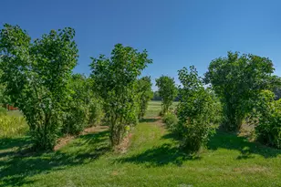 697 Fort Hill Rd, Gorham, ME 04038 - Photo 41