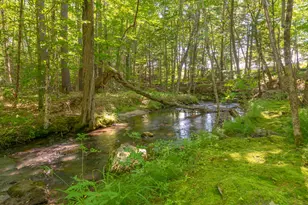 697 Fort Hill Rd, Gorham, ME 04038 - Photo 43