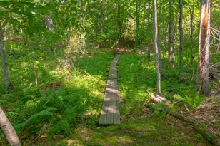 697 Fort Hill Rd, Gorham, ME 04038 - Photo 41