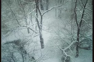 38 Main St, Topsham, ME 04086 - Photo 47