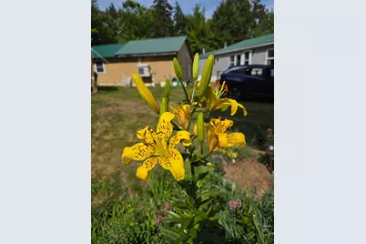 7 Christmas Cove Road, Crawford, ME 04694 - Photo 19