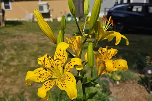 7 Christmas Cove Rd, Crawford, ME 04694 - Photo 19