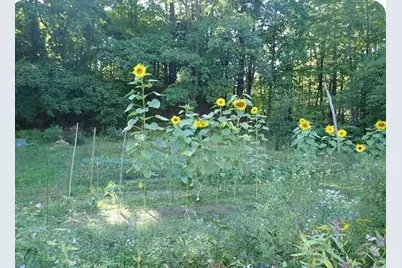 38 Main Street, Topsham, ME 04086 - Photo 63