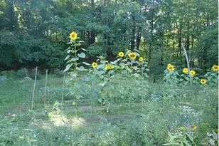 38 Main St, Topsham, ME 04086 - Photo 63