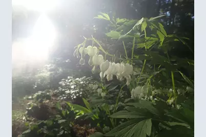 38 Main Street, Topsham, ME 04086 - Photo 55