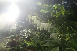 38 Main St, Topsham, ME 04086 - Photo 55