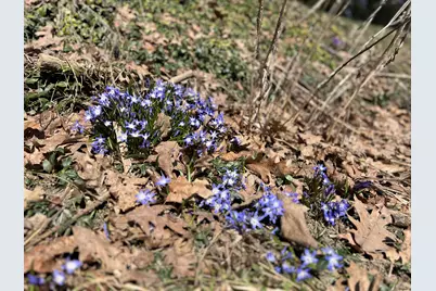 87 Monroe Highway, Brooks, ME 04921 - Photo 5