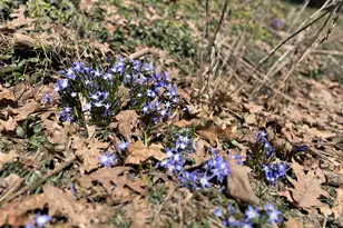 87 Monroe Hwy, Brooks, ME 04921 - Photo 5