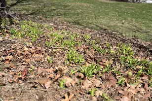 87 Monroe Hwy, Brooks, ME 04921 - Photo 35